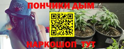 индика Чапаевск