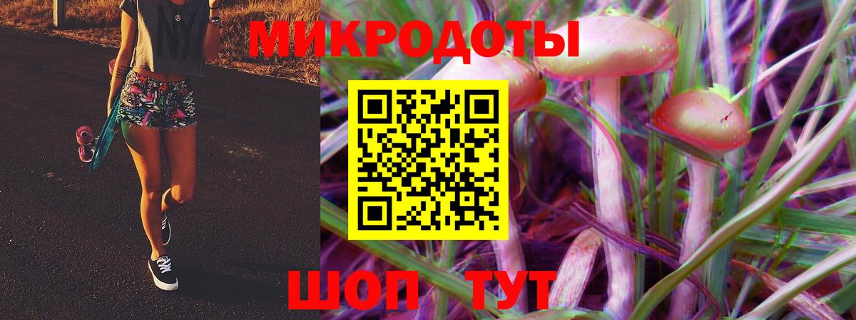 Галлюциногенные грибы Magic Shrooms  Галлюциногенные грибы Psilocybine cubensis  Артём  Вход с VPN 